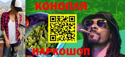 прущие грибы Среднеуральск