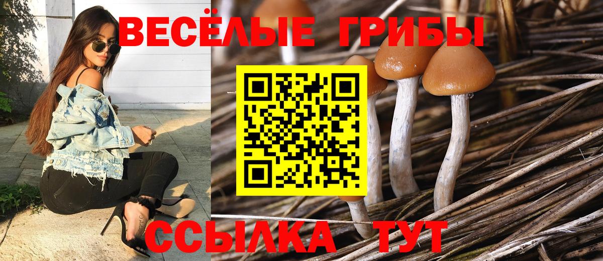 Псилоцибиновые грибы MAGIC MUSHROOMS Новочеркасск